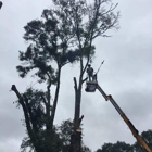 McKeithen's Tree Service