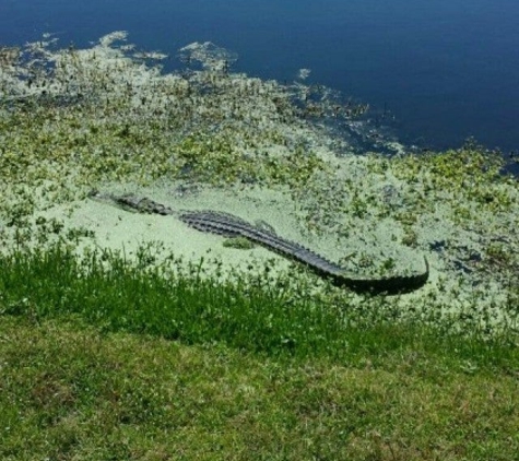 Sandpiper Bay Golf & Country Club - Sunset Beach, NC