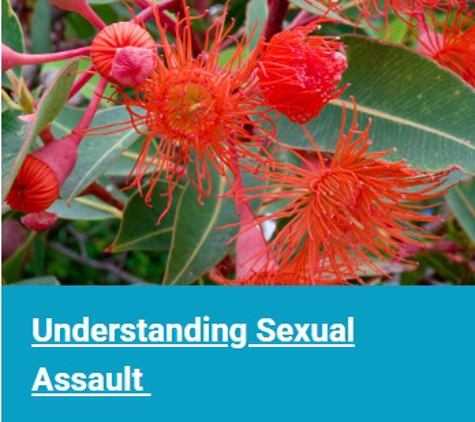 CASA (Goulburn Valley) - Shepparton, VIC. Understanding sexual assault