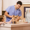 InstaVet Home Veterinary Care gallery