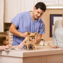 InstaVet Home Veterinary Care - Veterinarians