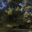 The Church of Jesus Christ of Latter-day Saints - Methodist Churches