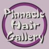Pinnacle Hair Gallery gallery