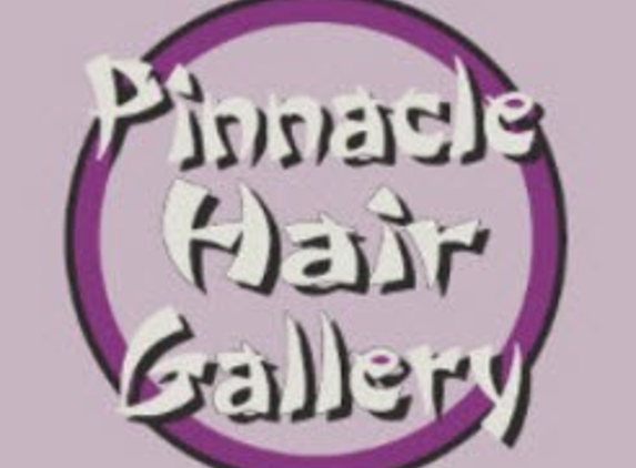 Pinnacle Hair Gallery - Northborough, MA