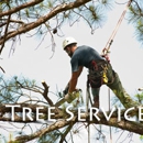 Brock's Tree Service - Arborists