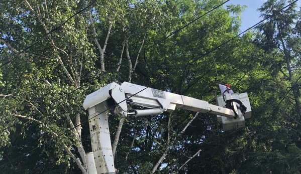 Mel's Firewood & Tree Service - Indiana, PA