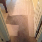 Van-Go Custom Carpet Cleaning