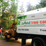 Avid Tree Care