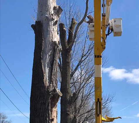 Good Paster Trees Service - Webster City, IA