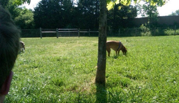 Dog Bark Park - Murfreesboro, TN