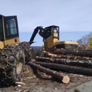 Mario Pelletier Tree Removal - Tree Service