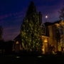 S&M Landscape Lighting