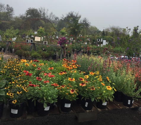 Walter Andersen Nursery - Poway, CA