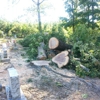 Wendell's Tree Service gallery