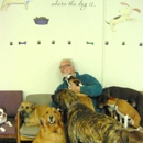Preppy Pet - Pet Services