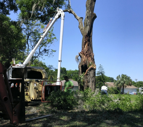 Bakers All Around Tree Service - bartow, FL