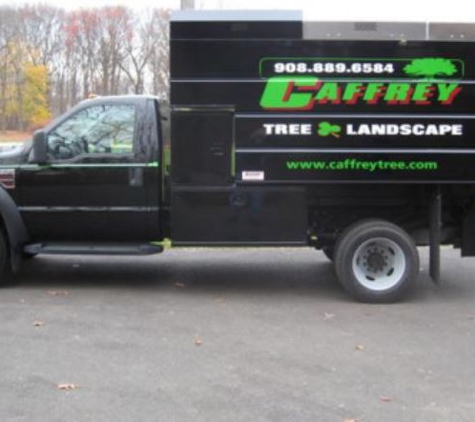 Caffrey Tree & Landscape - Scotch Plains, NJ