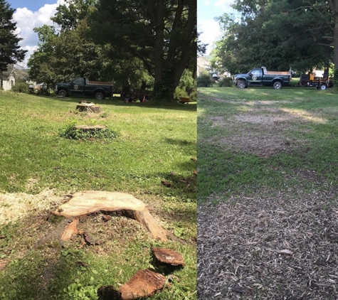 Stump Wrecker - Latham, NY. Stump Wrecker West Sand lake Stump Grinding