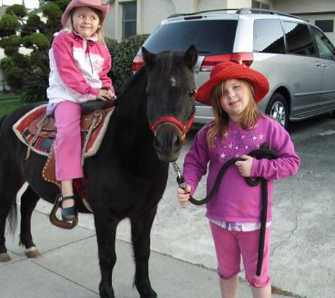 Once Upon A Pony & Petting Zoo - Morgan Hill, CA