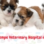 Tempe Veterinary Hospital