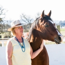 www.Animal Teacher .com  --Pets, Dog, Horse, Cat and Trainer - Horse Training