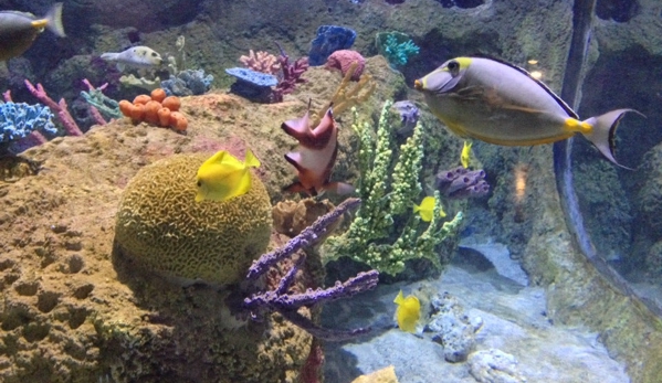 Austin Aquarium - Austin, TX