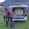 Greenville Equine Veterinary Services gallery