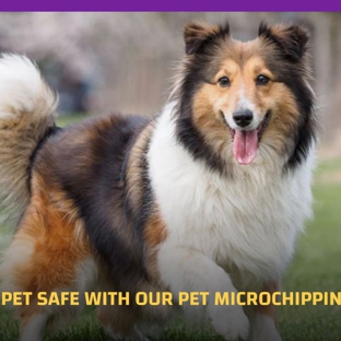 Orchard Hills Veterinary Hospital. Keep Your Pet Safe With Our Pet Microchipping Services