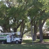 BA Robinson Tree Service Inc. gallery