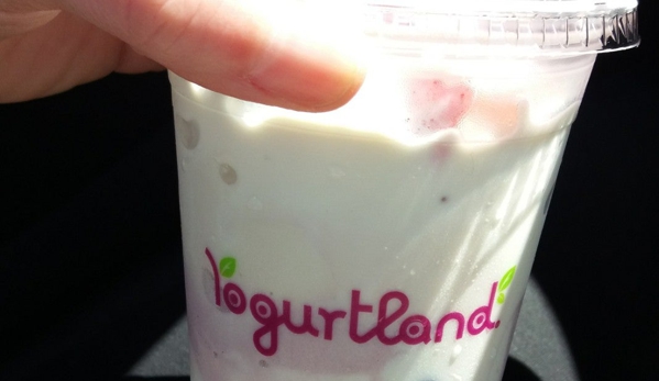 YogurtLand - Huntington Beach, CA