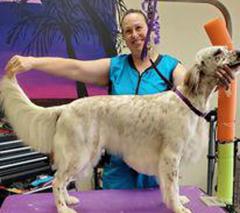 Pet's Paradise Grooming Salon and Spa - Newnan, GA