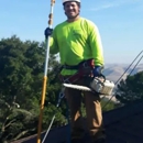 Dunne Right Tree Care - Tree Service