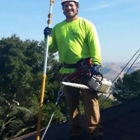 Dunne Right Tree Care