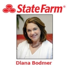 Dlana Bodmer - State Farm Insurance Agent