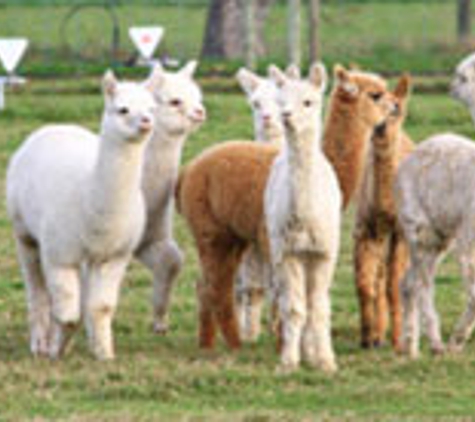Yea Veterinary Hospital - Yea, VIC