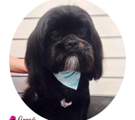 Lizzy's Pet Parlour - Svensson Heights, QLD