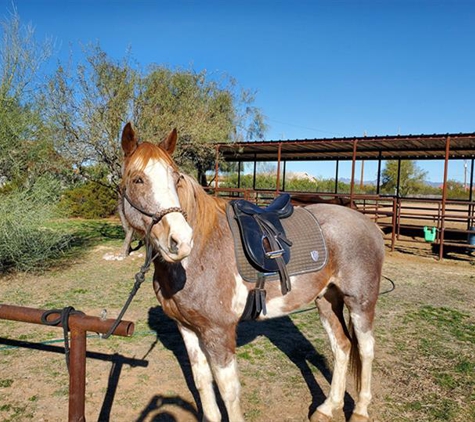 Legend Acres - Surprise, AZ