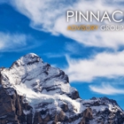 Pinnacle Advisory Group Inc