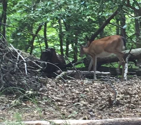 Morrow Mountain State Park - Albemarle, NC