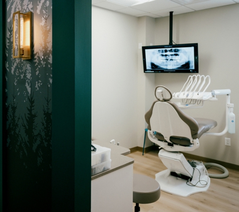 The Dental Wellness Company - Chagrin Falls, OH