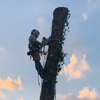 828 Tree Specialists gallery