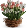 Springville Floral & Gift