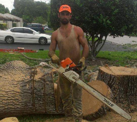 Minor's Tree Service - Bradenton, FL