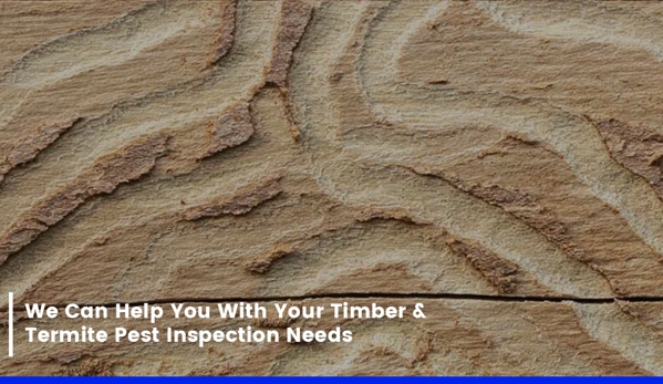TC's Pest & Termite Management. We Can Help You With Your Timber & Termite Pest Inspection Needs