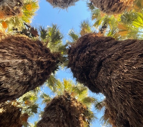 Coachella Valley National Wildlife - Thousand Palms, CA