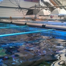 Tropicorium Mini-Reef - Aquariums & Aquarium Supplies