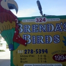 Brenda's Birds - Birds & Bird Supplies
