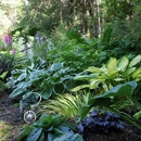 All Seasons Landscape Design - Landscape Designers & Consultants