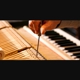 Piano Tuning & Repair