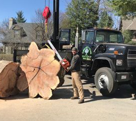 Kansas City Tree Care, LLC - Kansas City, KS